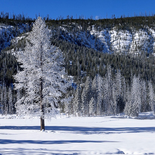 02 - Yellowstone NP