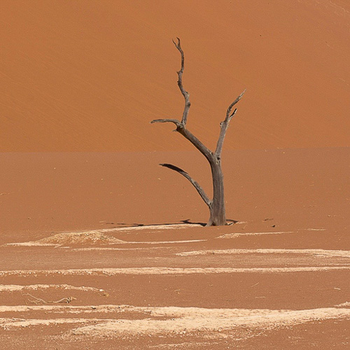 07 - Dead Vlei