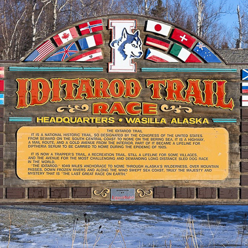 04 - Iditarod