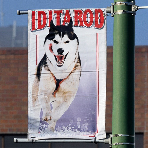 03 - Iditarod